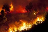 Taranto: Vertice in Prefettura per fare il punto sulla campagna anti incendi boschivi 2022